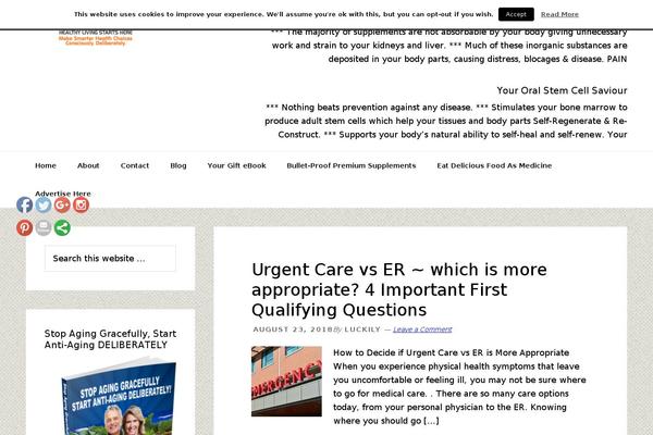 News Pro theme site design template sample