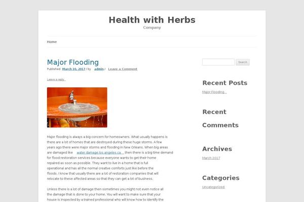 Silver-platinum theme site design template sample
