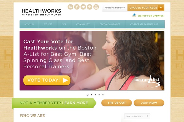 healthworks theme websites examples