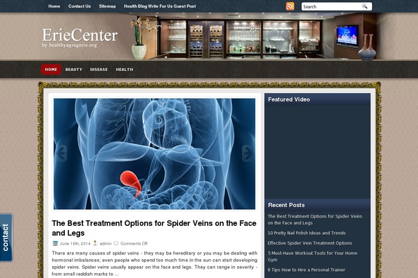 HomeInterior theme websites examples