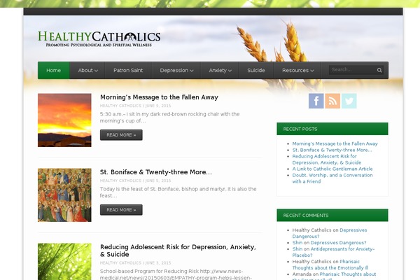 FlexiMag theme site design template sample
