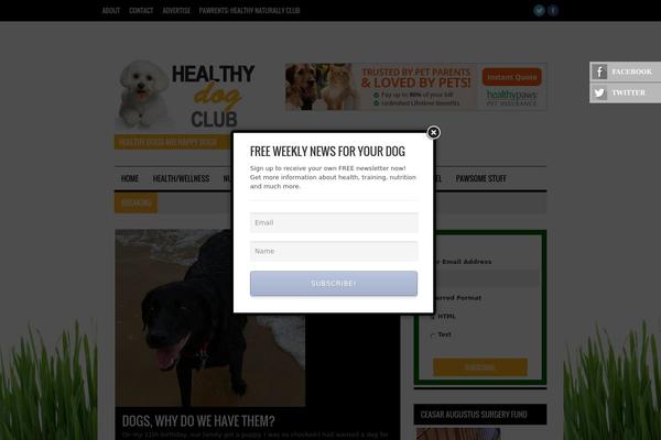 Hades theme site design template sample