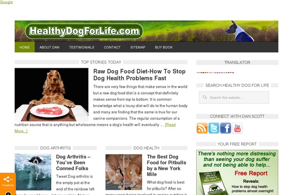 Site using Social Profiles Widget plugin