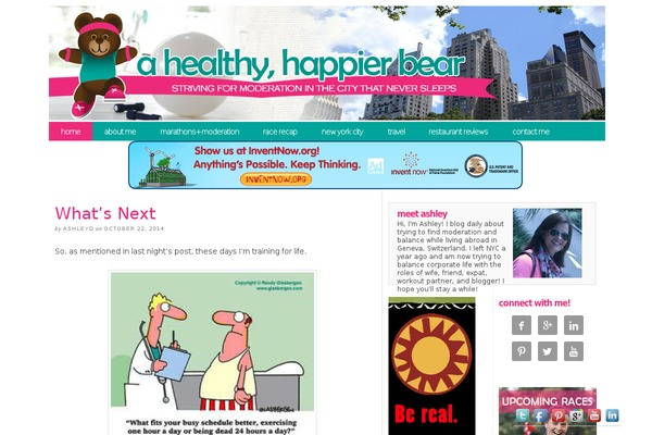 Pipdig-arubanights theme site design template sample