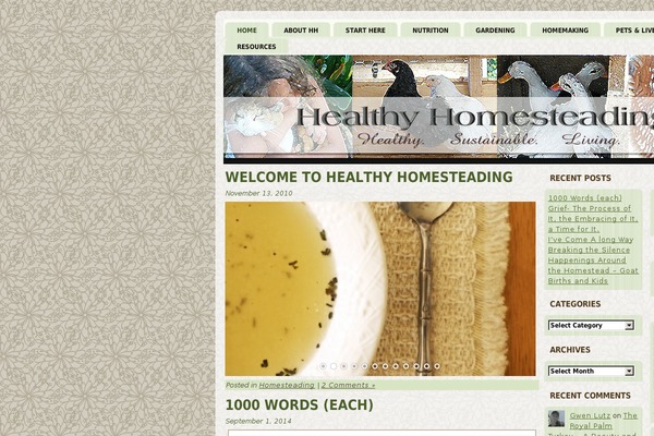 Site using 1-flash-gallery plugin