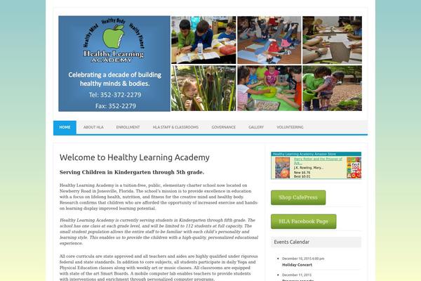 Iconic One theme site design template sample