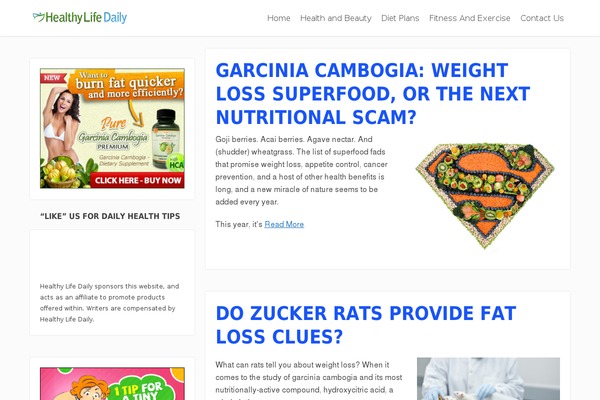 Focusblog theme site design template sample