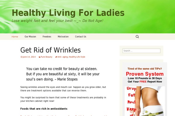 Twenty Thirteen theme site design template sample