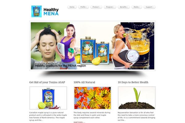 Site using AeroLeads Contact Us Details plugin