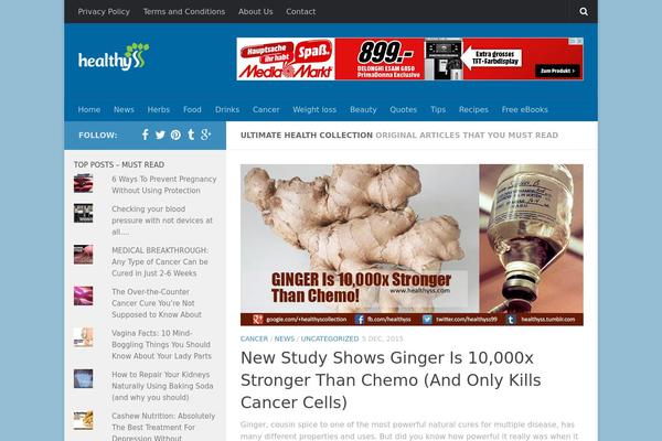 Hueman theme site design template sample