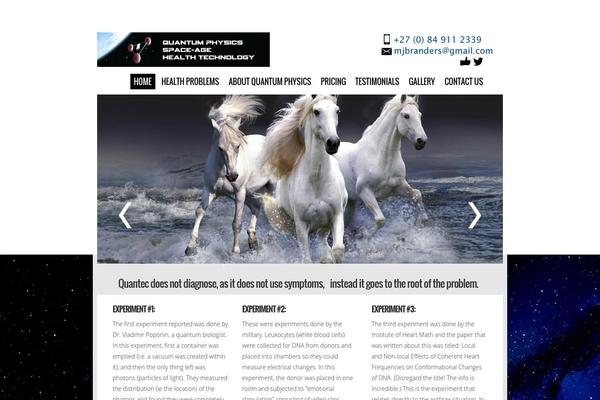 Circles theme site design template sample