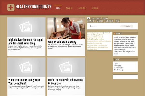 militone theme websites examples