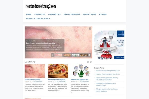 Max Magazine theme site design template sample
