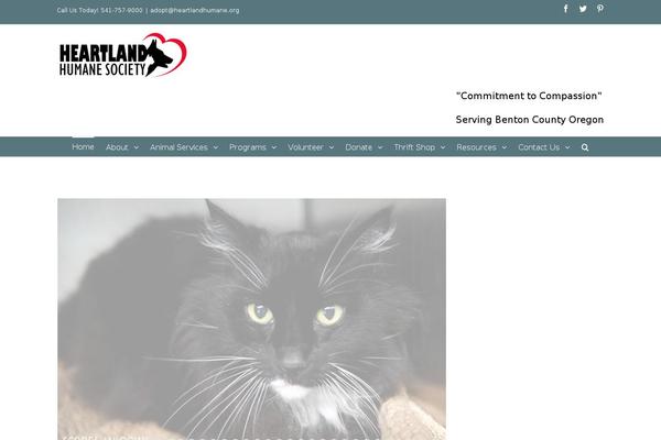 Site using Wpmediafolder210 plugin