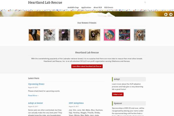 Rescue theme site design template sample