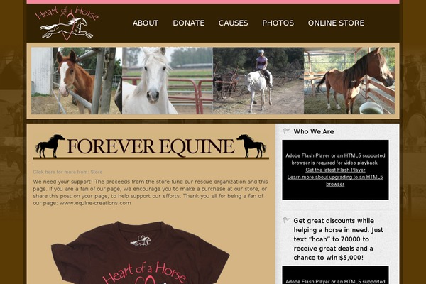 Believe_theme theme site design template sample