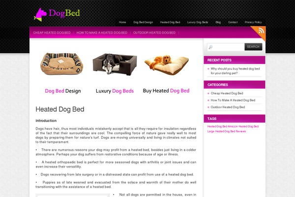 Colorbold theme site design template sample