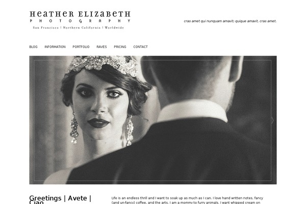 Lovely theme site design template sample