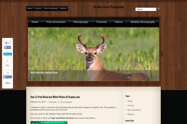 Site using CafePress Widget plugin