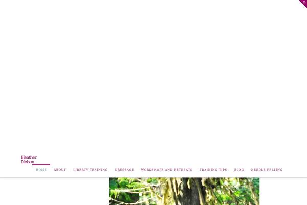 Site using Tco-email-forms plugin