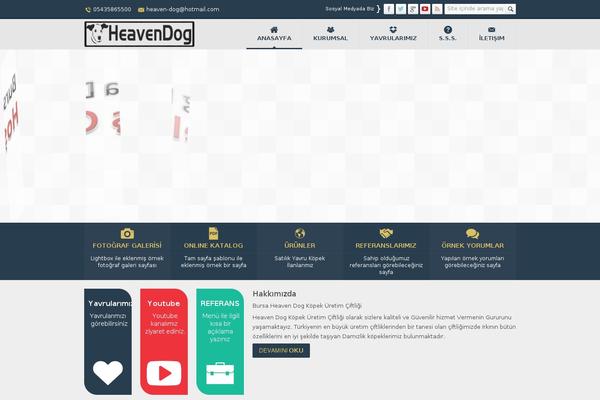 Safirkurumsal theme site design template sample
