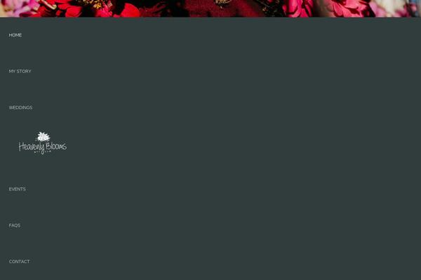 Site using Coming Soon Page & Maintenance Mode by SeedProd plugin