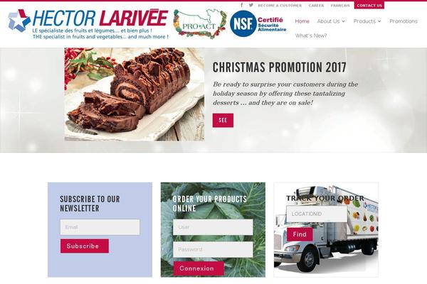 hectorlarivee.com site used Hector-larivee