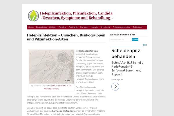 hefepilzinfektion.com site used WP-DaVinci 2.0