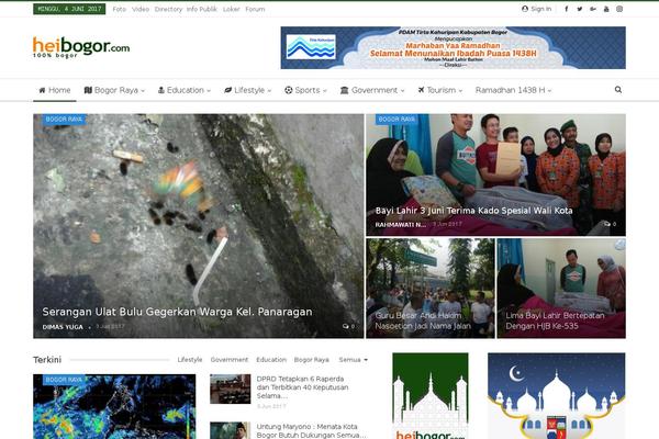 Site using Better-social-counter plugin