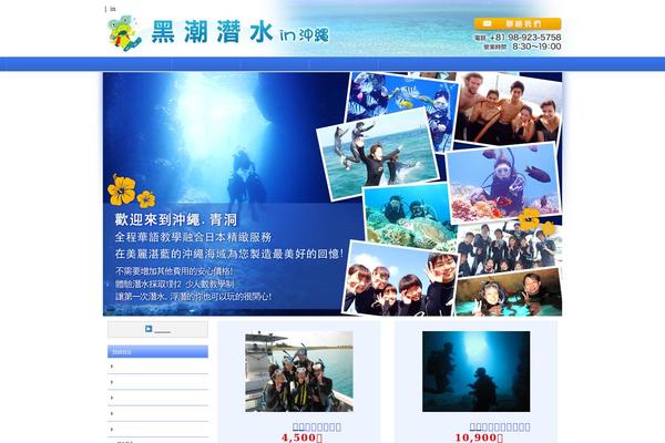 Standard_black_cmspro theme site design template sample