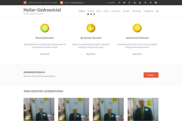 THBusiness theme site design template sample