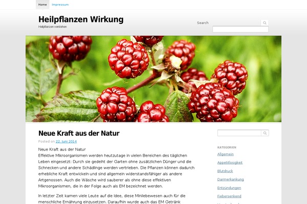 Snowberry theme site design template sample