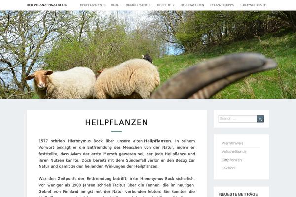 News Pro theme site design template sample