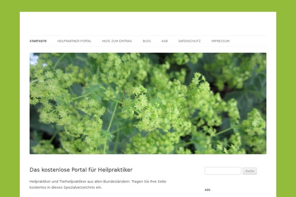 Site using Better WordPress Minify plugin