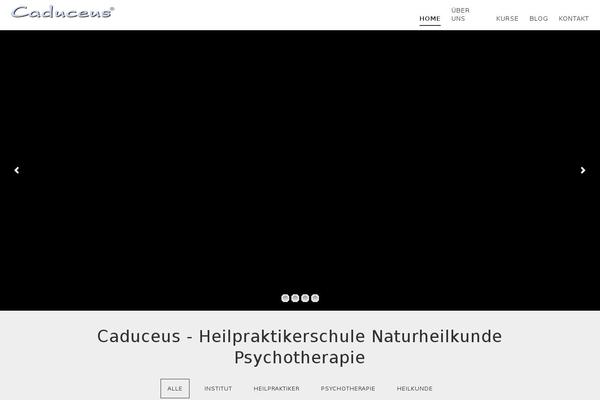 heilpraktikerschulen.info site used Conceptthemeres