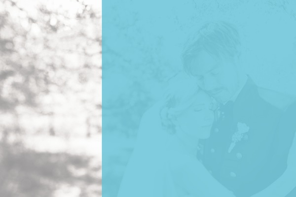 Live theme site design template sample
