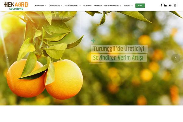 Site using WP Posts Carousel plugin