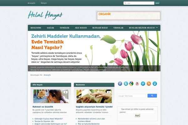Blogitty theme site design template sample