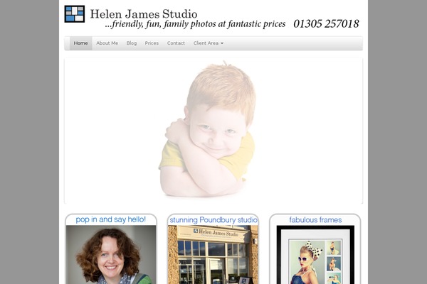 PageLines theme site design template sample