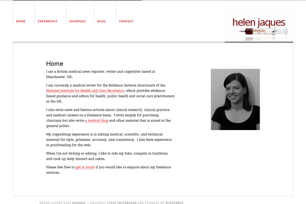 Modern theme site design template sample
