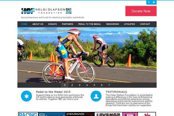 Avando theme site design template sample