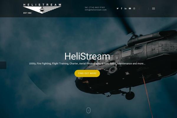 Salient theme site design template sample