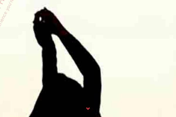 Virtue Premium theme site design template sample