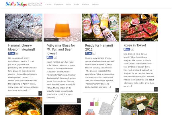 Pinbin theme site design template sample