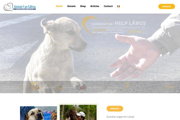 Vatican theme site design template sample