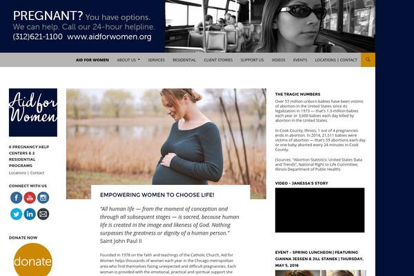 Pro theme site design template sample