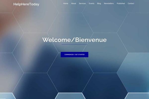 Online Marketer theme site design template sample