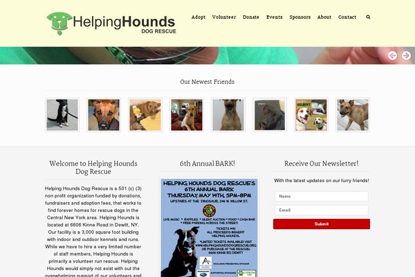 Rescue theme site design template sample