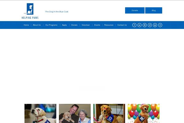 Mercycorp theme site design template sample