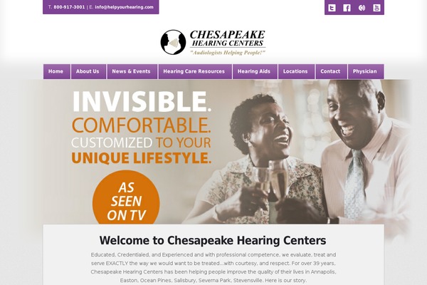 Audigy4 theme site design template sample